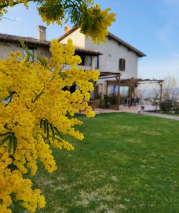 Casale Mille E Una Notte Perúgia Exterior foto